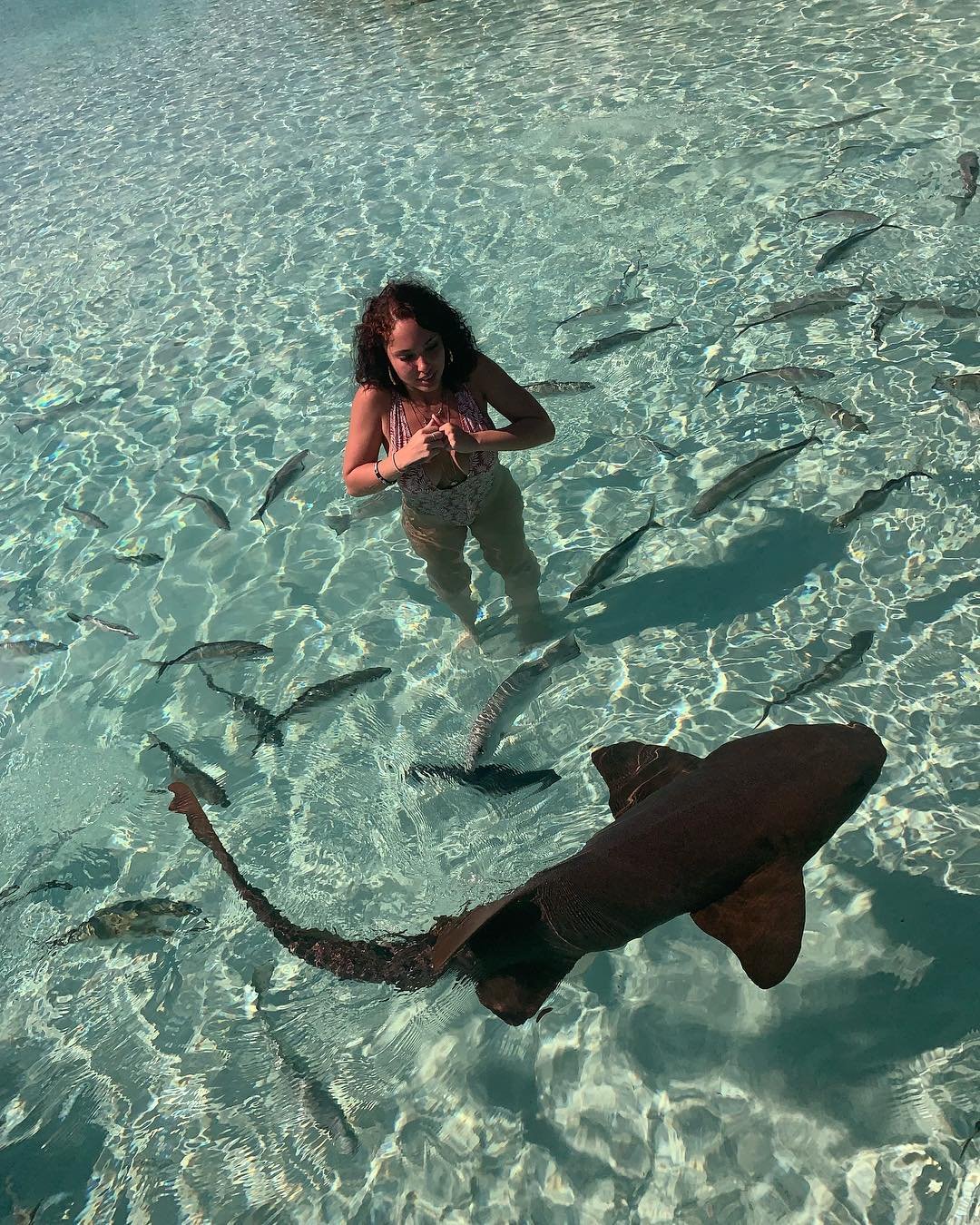 @§# |X@@$h #Q8qQ5IyI